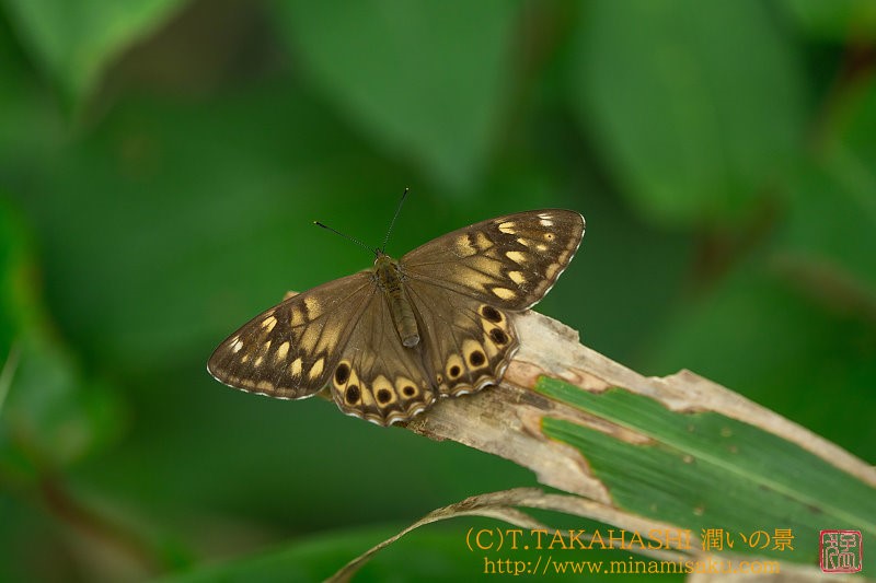 ../Images/7R250727 (320).jpg